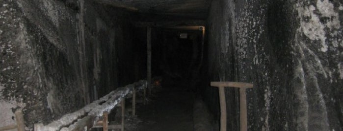 Kopalnia Soli Wieliczka | Wieliczka Salt Mine is one of 気になる(´･Д･)」.