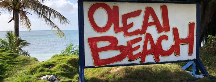 Oleai Beach Bar & Grill is one of Tempat yang Disukai Mike.