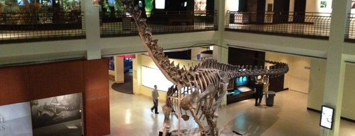 Houston Museum of Natural Science is one of My To-Visit List.