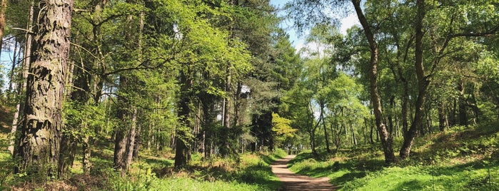 Abraham’s Valley Loop is one of Daniel'in Beğendiği Mekanlar.