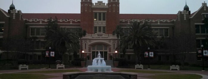 Florida State University is one of NCAA Division I FBS Football Schools.