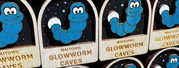 Waitomo Glowworm Caves is one of NZ to go.