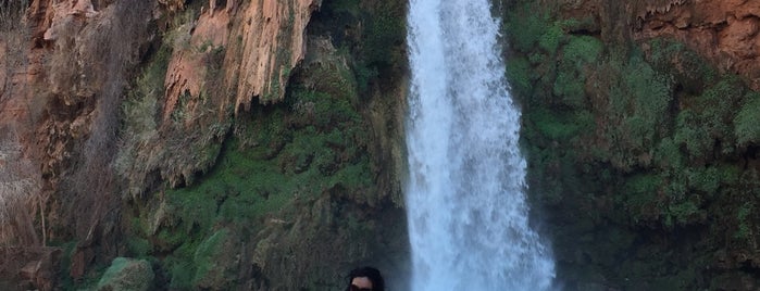 Havasu Waterfall is one of Hiking Trails.