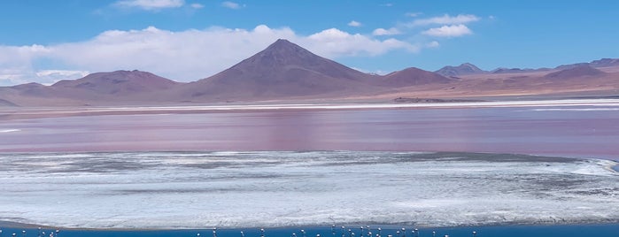 Laguna Colorada is one of Bolivia.