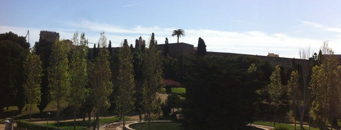 Camp de Mart is one of Tarragona.