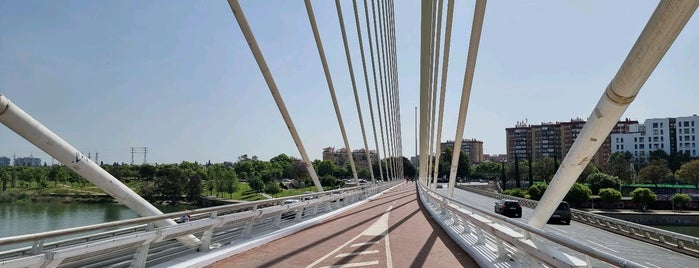 calatrava bridge is one of Sevilla.