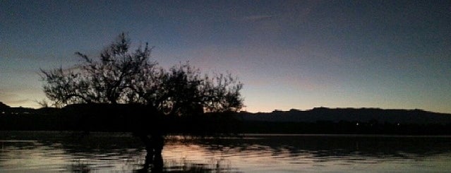 Pantano Del Cubillas is one of สถานที่ที่ Vanessa ถูกใจ.