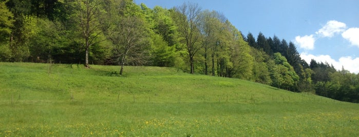 Schwarzwald is one of EU - Attractions in Europe.