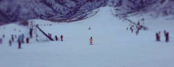 八达岭滑雪场 Badaling Ski Resort is one of Ski & Snowboard China 滑雪和单板滑雪中国.