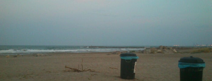 tiki bar beach is one of Sergio : понравившиеся места.