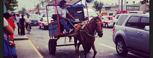 Av. Miguel Alemán is one of สถานที่ที่ Akny ถูกใจ.