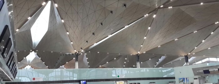 プルコヴォ国際空港 (LED) is one of Official airport venues.