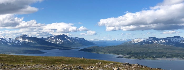 Fløya is one of Lugares favoritos de Ketil Moland.