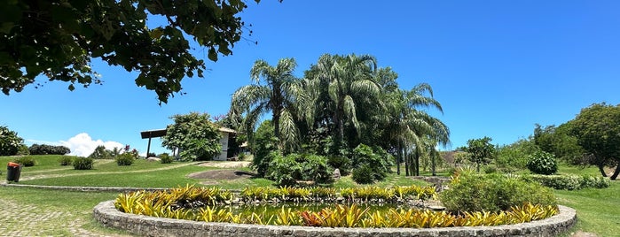 Parque Pedra da Cebola is one of Vitoria.