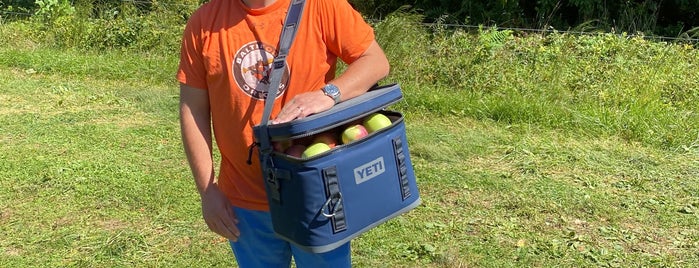 Lohr's Orchard is one of Apple farms.