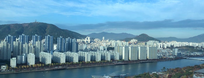 APEC Park Viewed from Lotte Gallerium Centum is one of 부산.