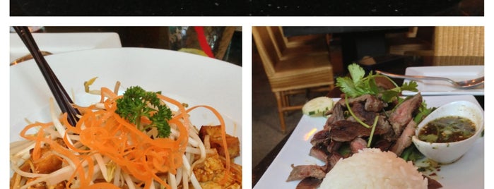 Naga Thai Kitchen & Bar is one of Top Food Picks In DFW.