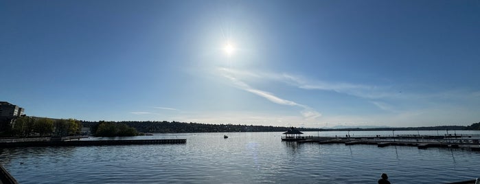 Gene Coulon Park is one of parks.