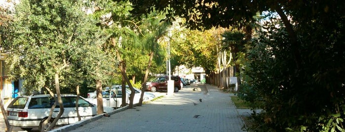 Mehmet Suphi Kula Parkı is one of Lugares favoritos de Hulya.