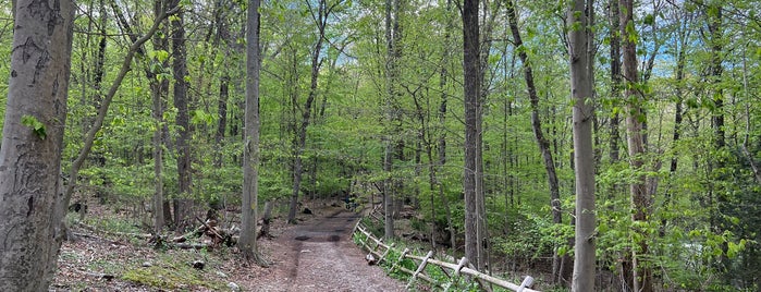 Mianus River State Park is one of Locais curtidos por Ines.