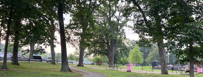 Scalzi Park is one of beaches/parks.