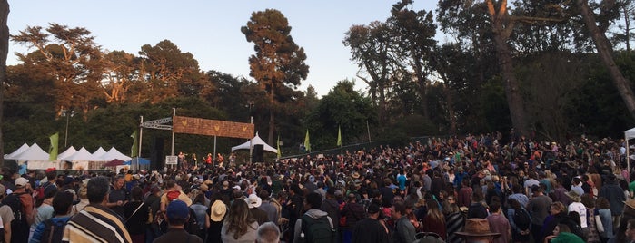 Hardly Strictly Bluegrass is one of Posti che sono piaciuti a Trace.