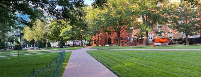 GWU University Yard is one of Thrillist's Best Day of Your Life: DC.