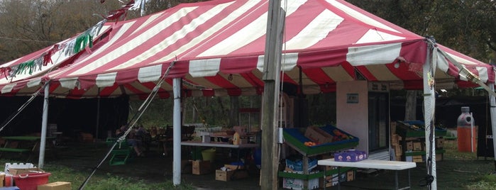 Odessa Organic Farmer's Market is one of Tampa Mainstays.