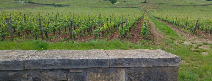 Romanée Conti Grand Cru is one of David’s Liked Places.
