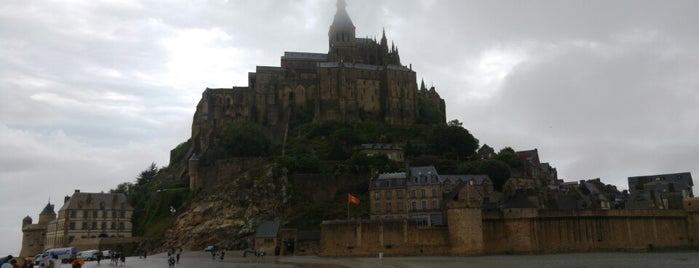 Le Mont-Saint-Michel is one of Lieux qui ont plu à David.