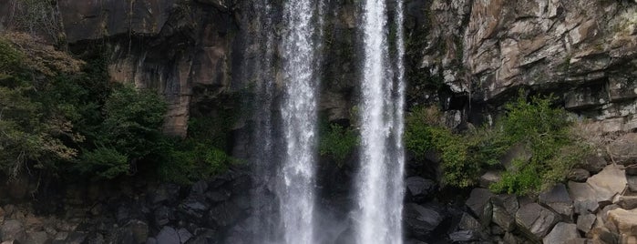 Jeongbang Waterfall is one of Lugares favoritos de David.