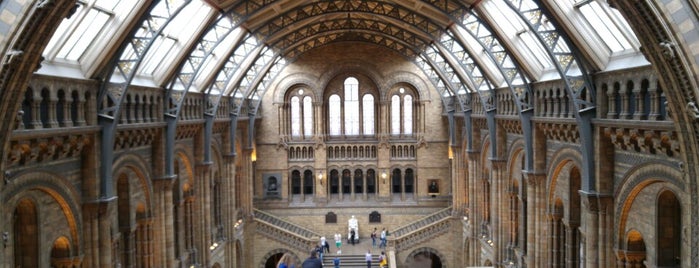 Natural History Museum is one of Davidさんのお気に入りスポット.