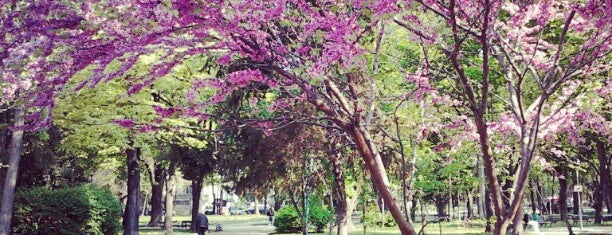 “Tsar Simeon Garden” Park is one of Locais curtidos por Carl.
