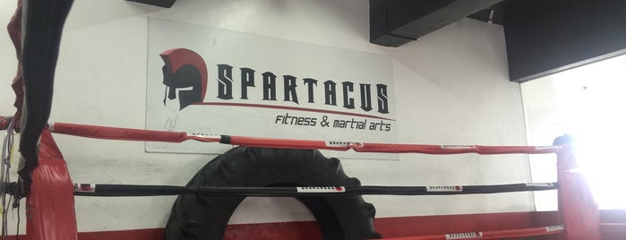 Spartacus Fitness And Martial Arts is one of gym.