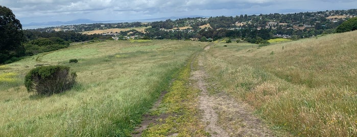 Wildcat Canyon is one of Locais curtidos por cnelson.