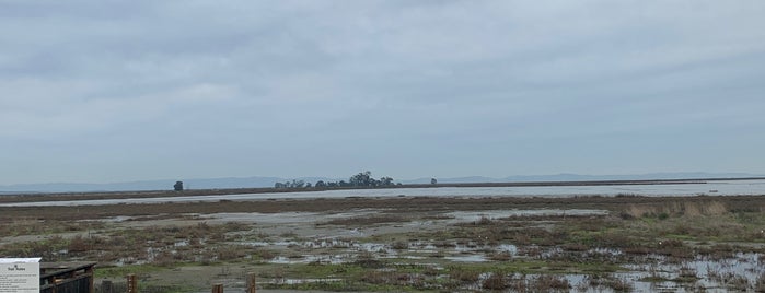 Bay Trail Hamilton South is one of สถานที่ที่ Andrew ถูกใจ.