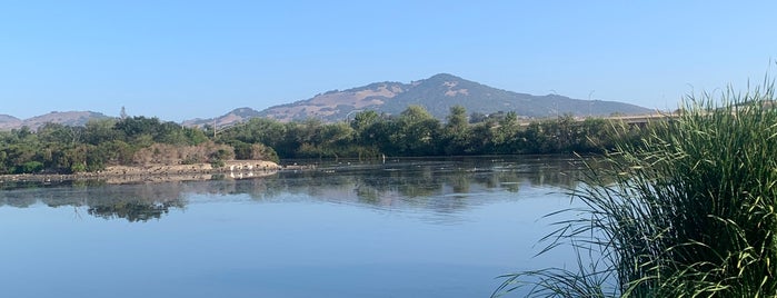 Scottsdale Pond is one of Fishing spots.