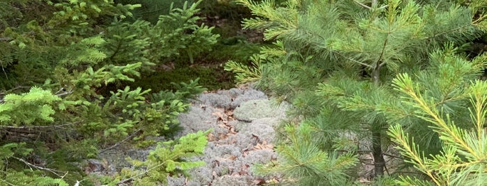 Hidden Pond is one of maine.