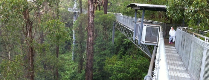 Illawarra Fly Treetop Walk is one of Aussie.