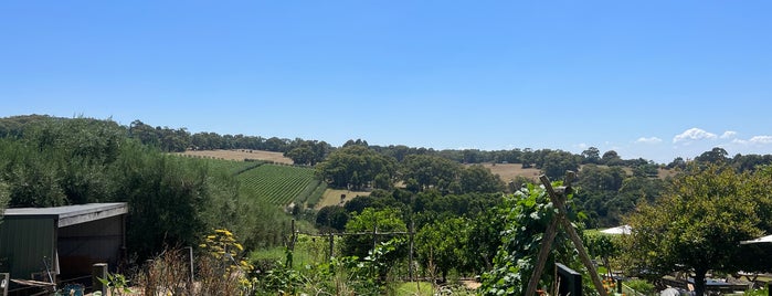 Montalto Vineyard & Olive Grove is one of VICTORIA | 🇦🇺.