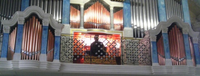 Ливадийский органный зал is one of Lidia'nın Beğendiği Mekanlar.