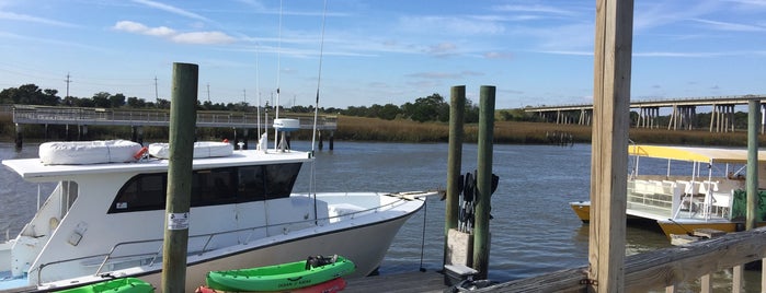 Capt. Mike's Dolphin Adventure Tours is one of Tybee Island.