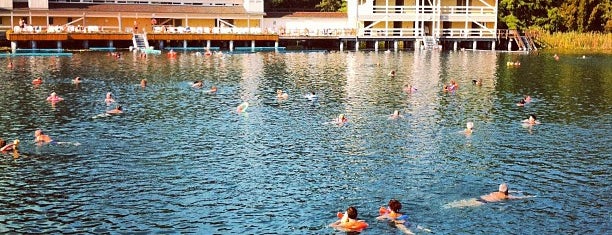 Hévízi-tó is one of Thermal spa's to-do.