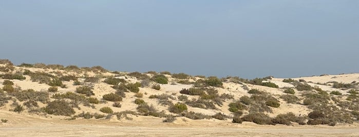 Inland Sea is one of Qatar.