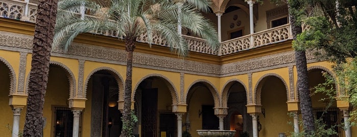Palacio de las Dueñas is one of Seville.