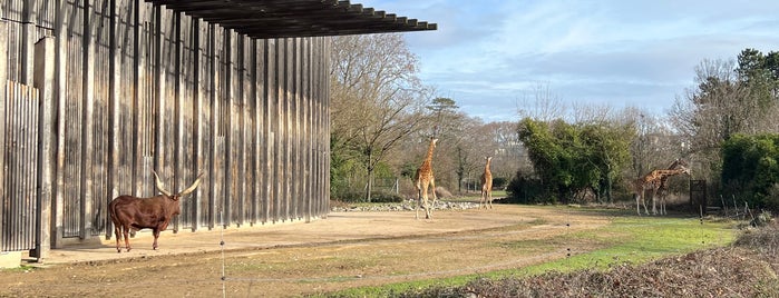 Serres du Parc de la Tête d'Or is one of Lione.