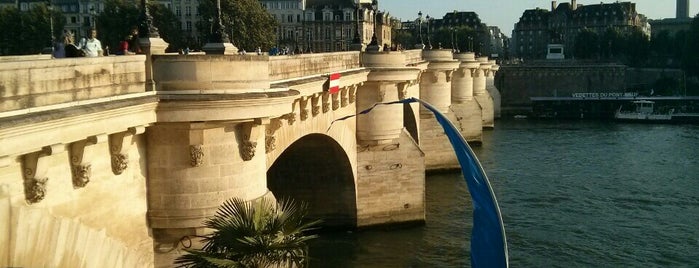 Pont Neuf is one of Best of Paris.