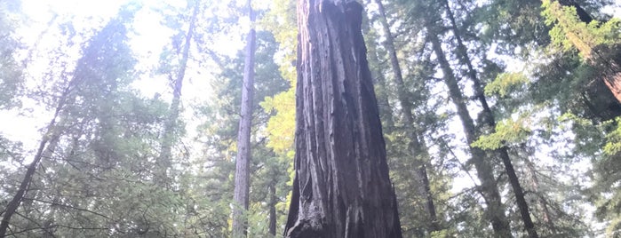 Rockefeller Loop Trail is one of eric'in Beğendiği Mekanlar.