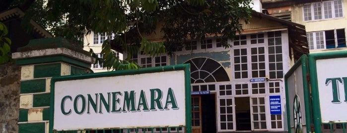 Connemara Tea Factory is one of Kerala.