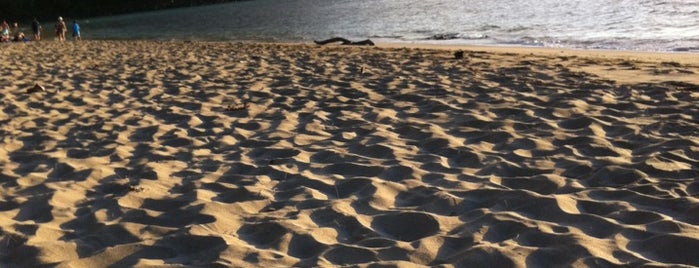 Ke'e Beach is one of Kaua'i.